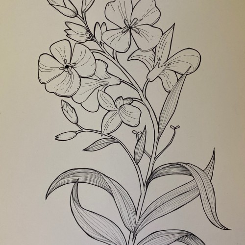 Flowers on ink