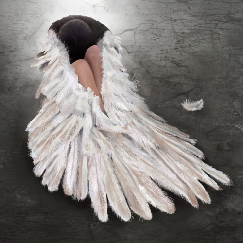 Fallen angel