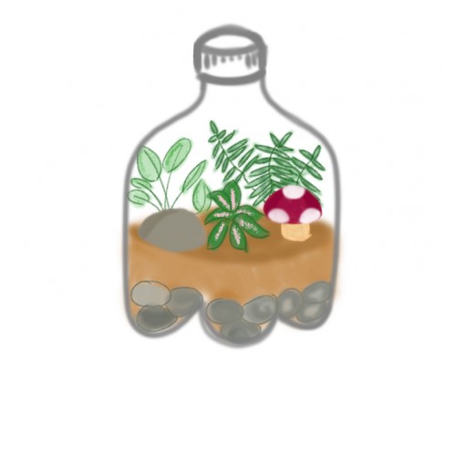 Plastic bottle Terrarium