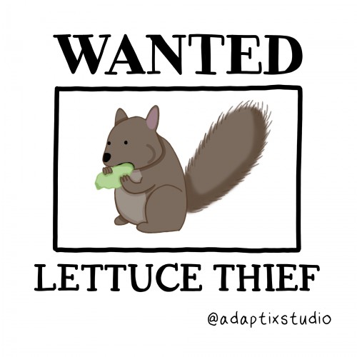 Wanted - Lettuce Thief
