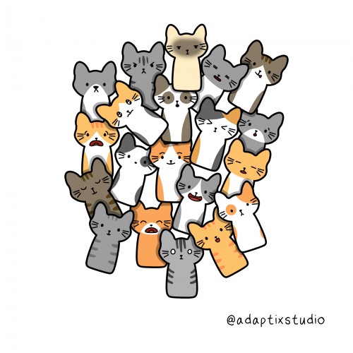 19 cats and a dog