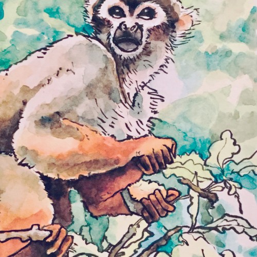 Squirrel Monkey - Watercolor