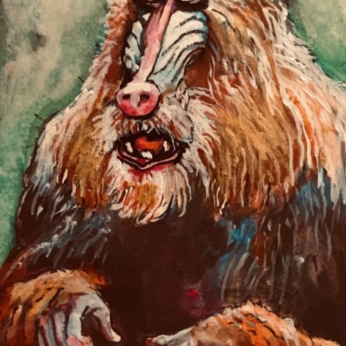 Yellow and Black Baboon - Watercolor and Acrylic