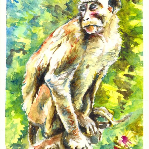 Tree Monkey