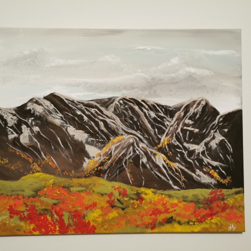 Mountain flowers