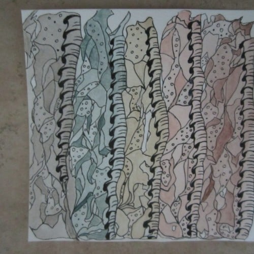 JUST ANOTHER REVERSE COLORING.....