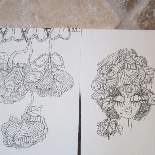BEFORE ADDING COLOR....