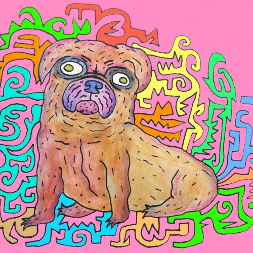 Cosmic Pug