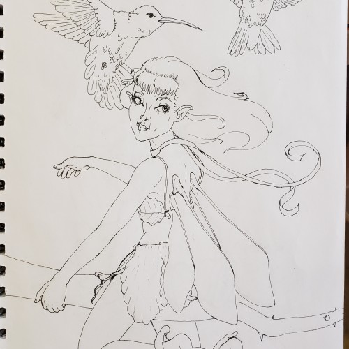 Hummingbirds and Fairy