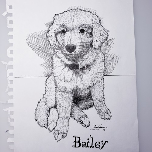 Bailey