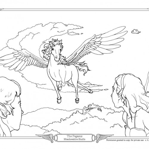 The Pegasus