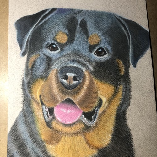 Rottweiler Commission