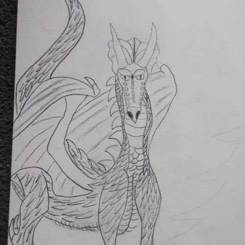 Dragon Sketch