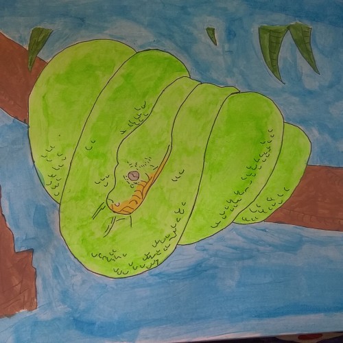 Emerald tree boa  acrylic painting