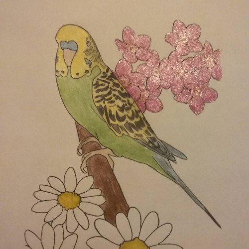 Green budgie sitting in the flower
