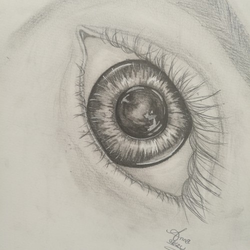 Eye