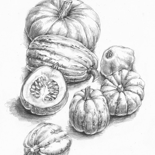 Squash