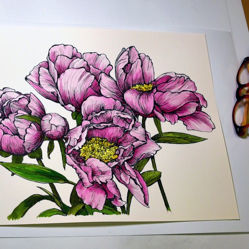 Peonies