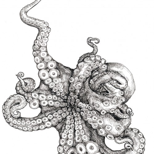 Ink Octopus