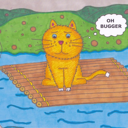 cat on a raft