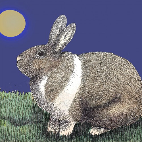 Even the Rabbit Dreams of the Moon