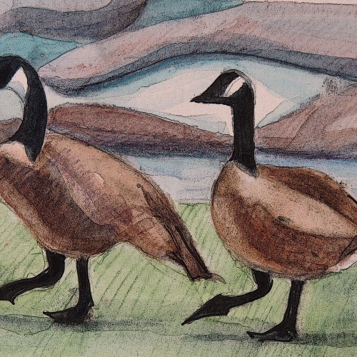 Geese