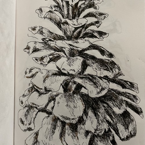 Pinecone