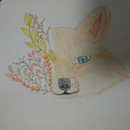 fox