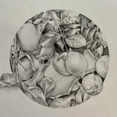 L is for lemons
