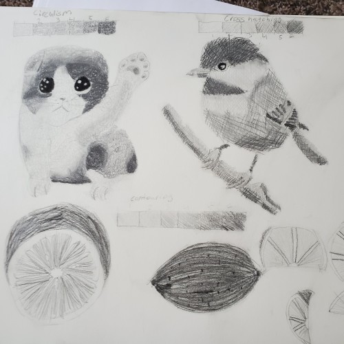 Shading and value