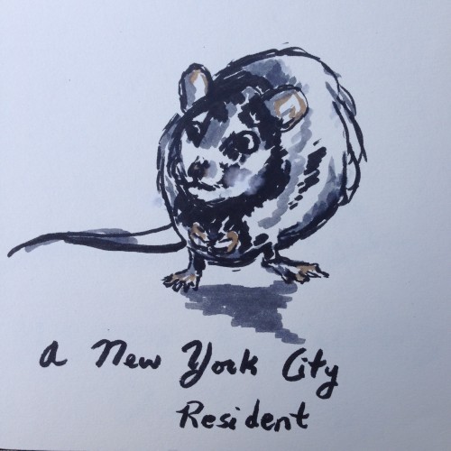 NYC Rat