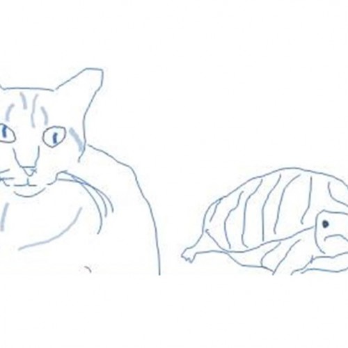 Pampered pets