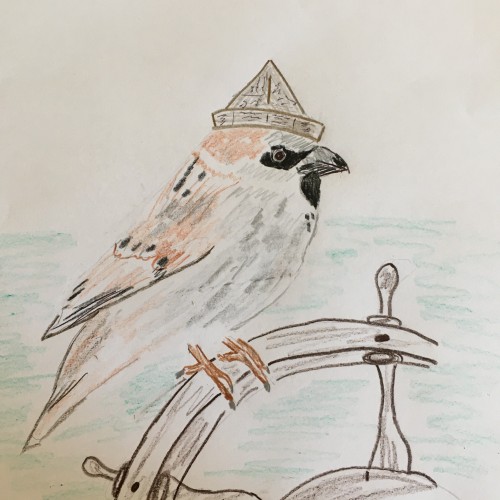 Seagoing Sparrow