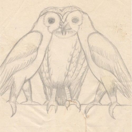 Owl eyes