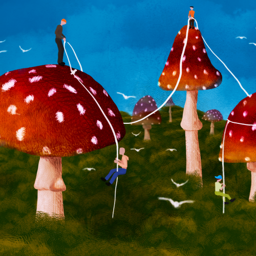 The Mushroom Forest
