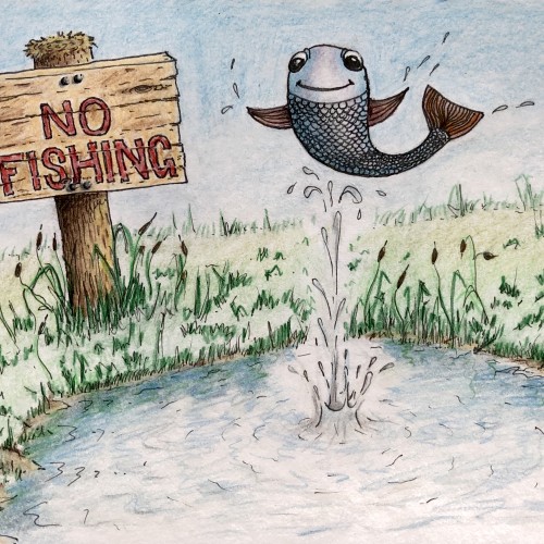 No Fishing