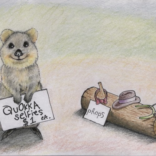 Quokka Selfies $1