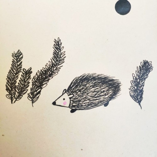 Hedgehog