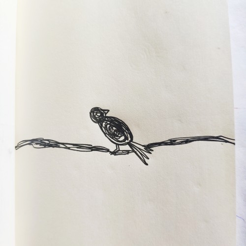 Bird on branch