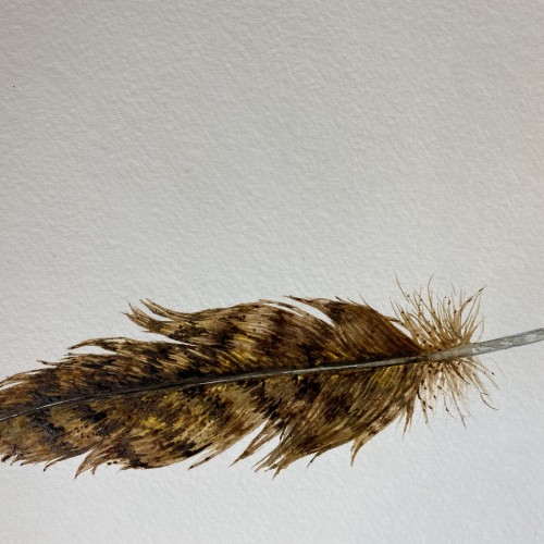 Feather