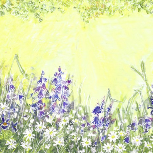 Bluebells and Stitchwort