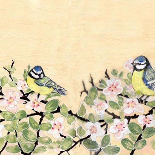 Bluetits and blossom