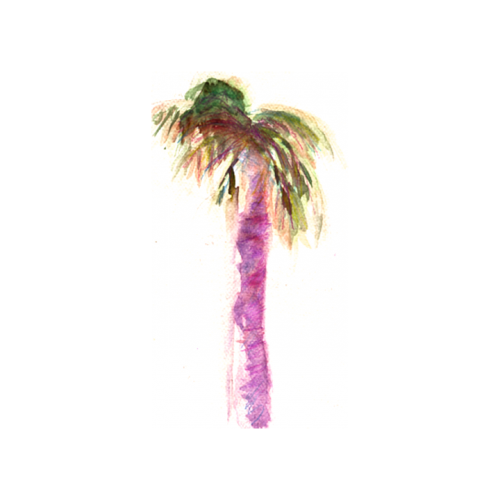 H20 Palm Tree