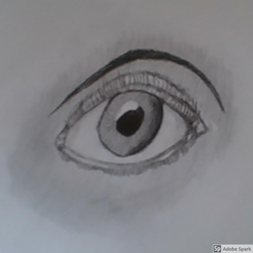 eye