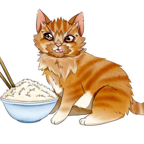 Rice Cat