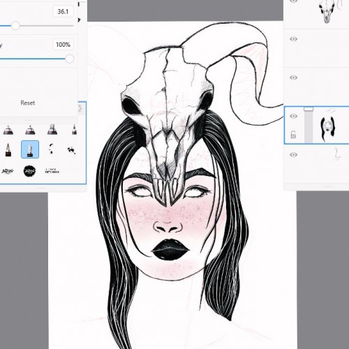 Aries in progress