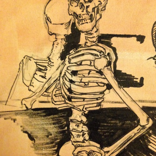 Skeleton study