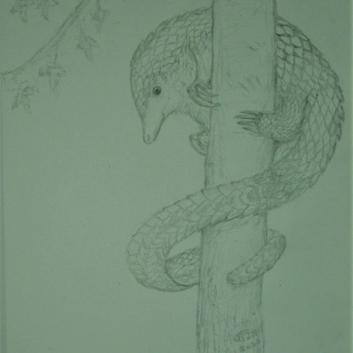 Verdant Pangolin