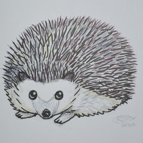 Hedgehog