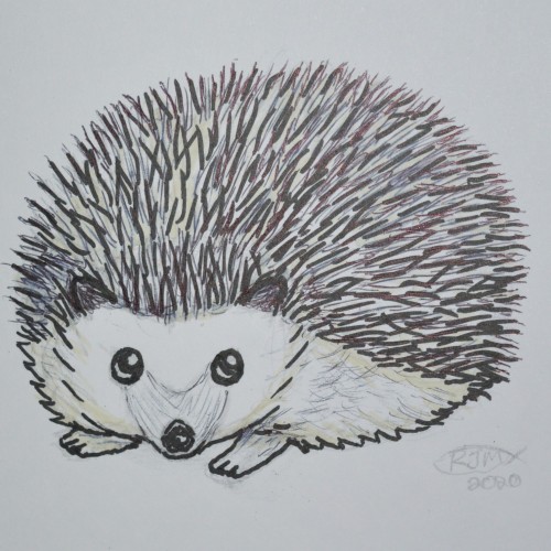 Hedgehog